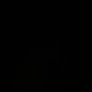 Meet your Posher, Alcendra